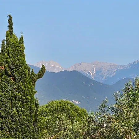 Great Alexander Ξενοδοχείο 3*