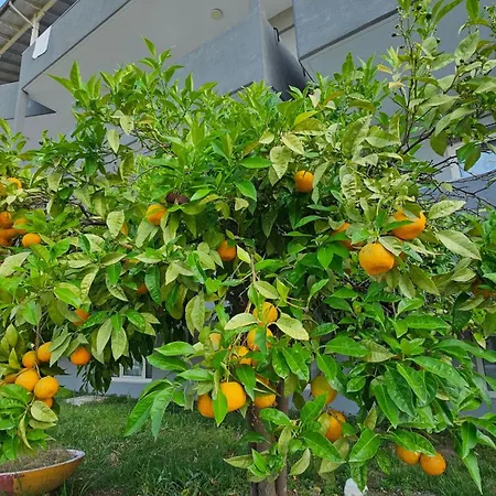 Ξενοδοχείο Great Alexander