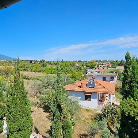 Great Alexander Отель