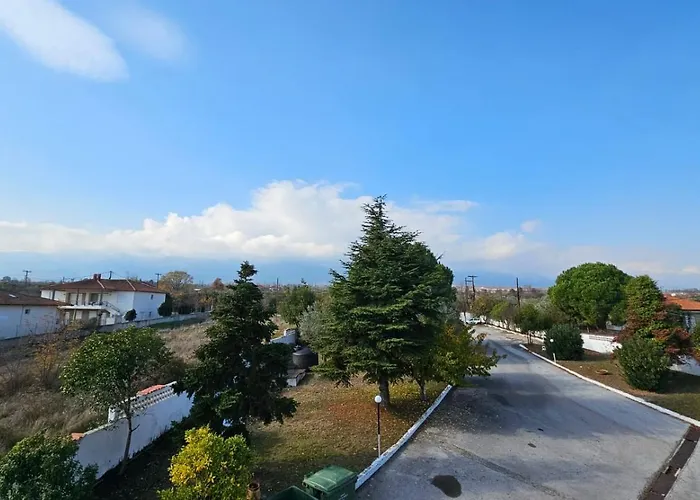 Great Alexander Hotel 3*