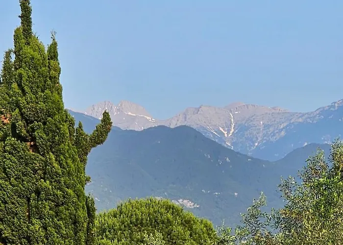 Great Alexander Hotel 3*