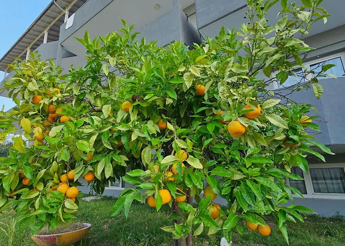 Hotel Great Alexander