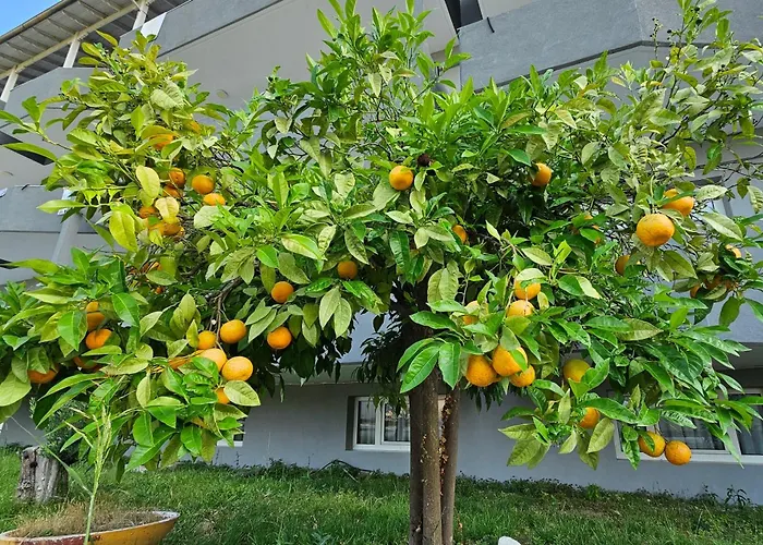 Hotel Great Alexander Litochoro