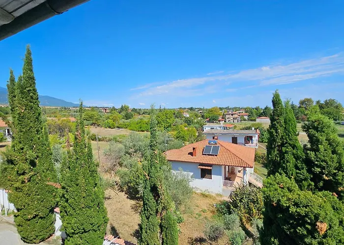 Great Alexander Hotel